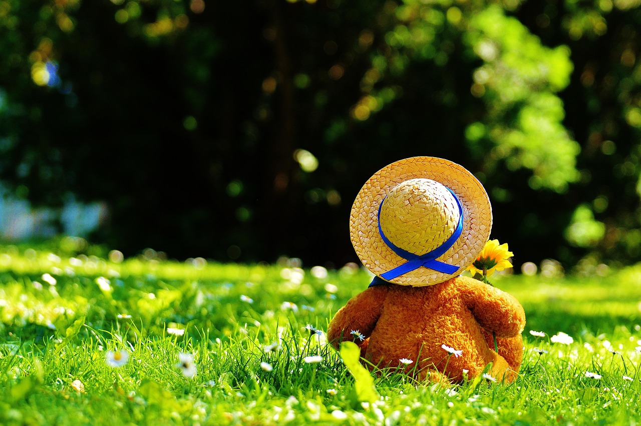 entdecken sie unsere kuscheligen plüschtiere – perfekte weiche begleiter für kinder und sammler jeden alters.