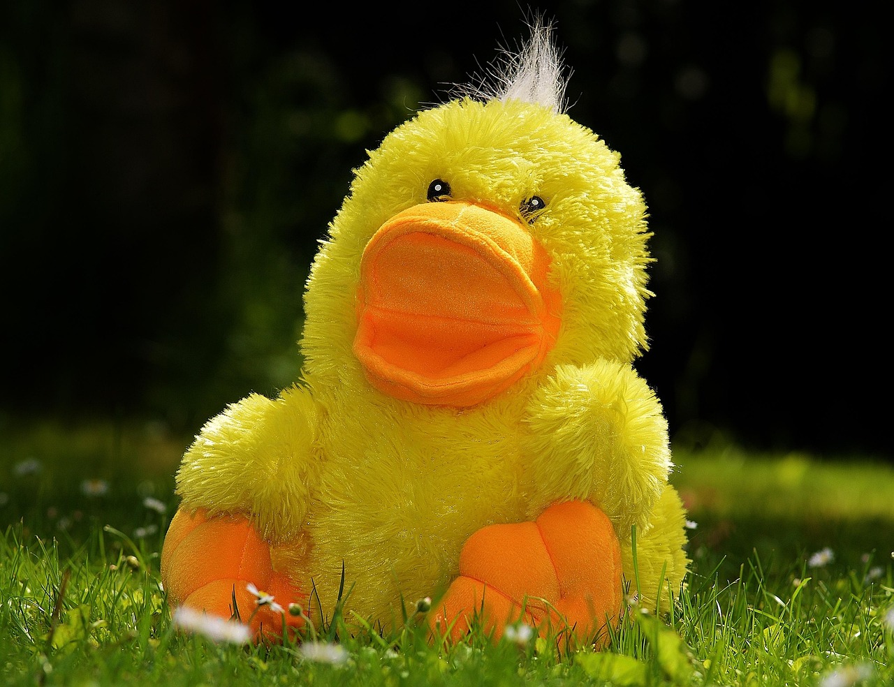 süßes stofftier zum geburtstag – das perfekte geschenk für kinder und tierliebhaber. entdecken sie unsere kuscheligen plüschtiere, ideal zum feiern und liebhaben.