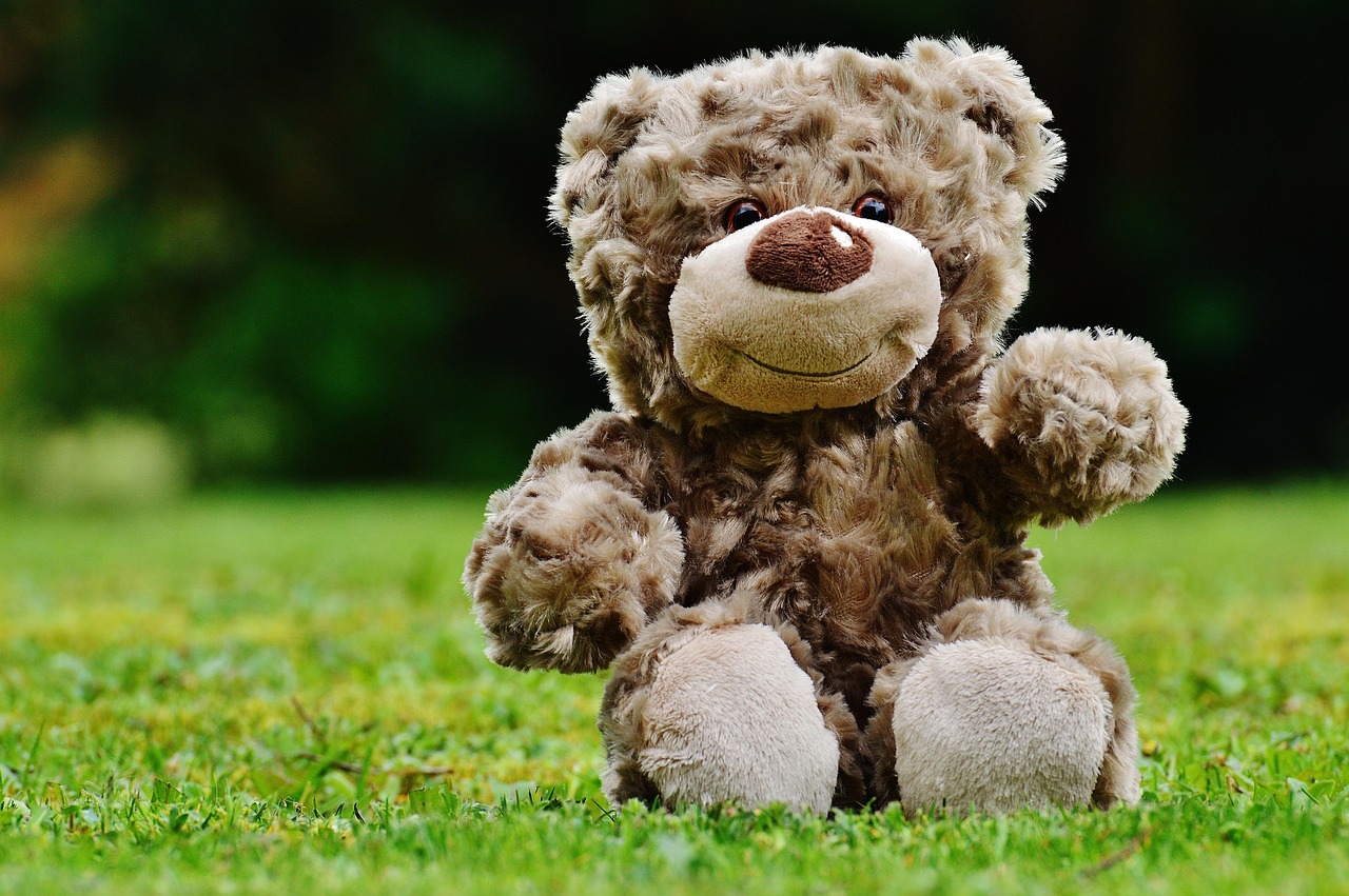 entdecken sie die besten tipps zur pflege und reinigung von plüschtieren, um ihre lebensdauer zu verlängern und ihre weichheit zu bewahren. erfahren sie, wie sie ihre lieblingskuscheltiere richtig behandeln und ihnen die aufmerksamkeit schenken, die sie verdienen.