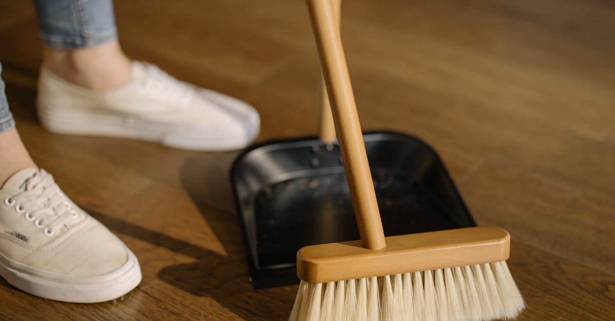entdecken sie die besten reinigungstipps und -tricks für ein strahlend sauberes zuhause. von der haushaltsreinigung bis zur professionellen pflege - wir zeigen ihnen, wie sie effizient und nachhaltig reinigen können.