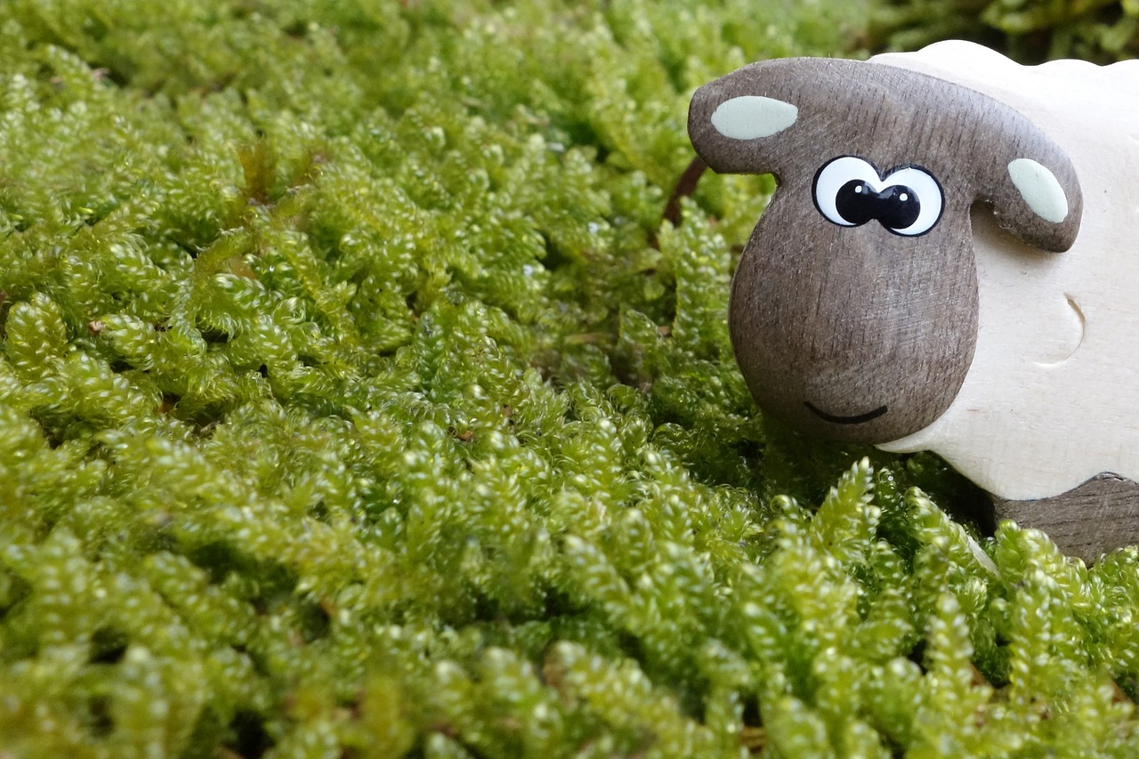 entdecken sie unsere biologisch abbaubaren kuscheltiere, die hohe umweltstandards erfüllen und gleichzeitig wundervolle begleiter für kinder sind. sorgfältig aus nachhaltigen materialien hergestellt, kombinieren sie sicherheit, weichheit und liebe zur natur.