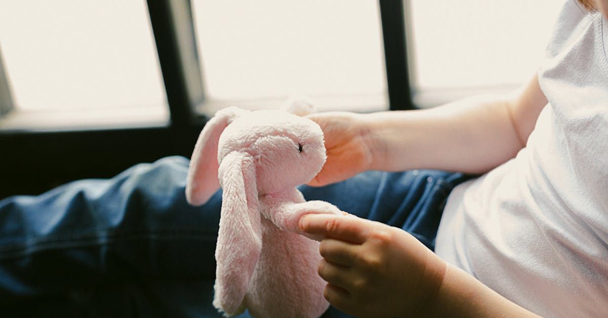 Der ultimative Leitfaden zur Pflege von Kuscheltieren