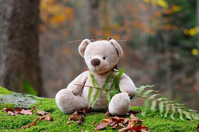 Welche Rolle spielen Kuscheltiere in der Kindheitserinnerung?